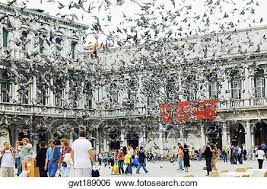 Pigeons In Italy